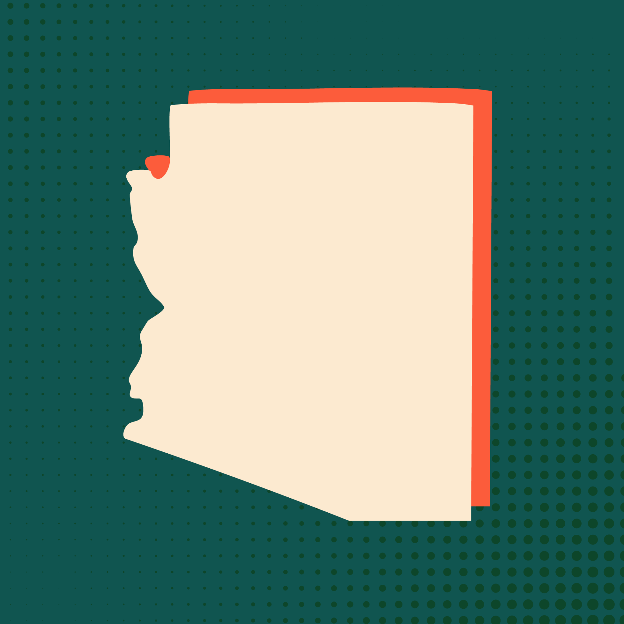 Arizona medicaid cuts